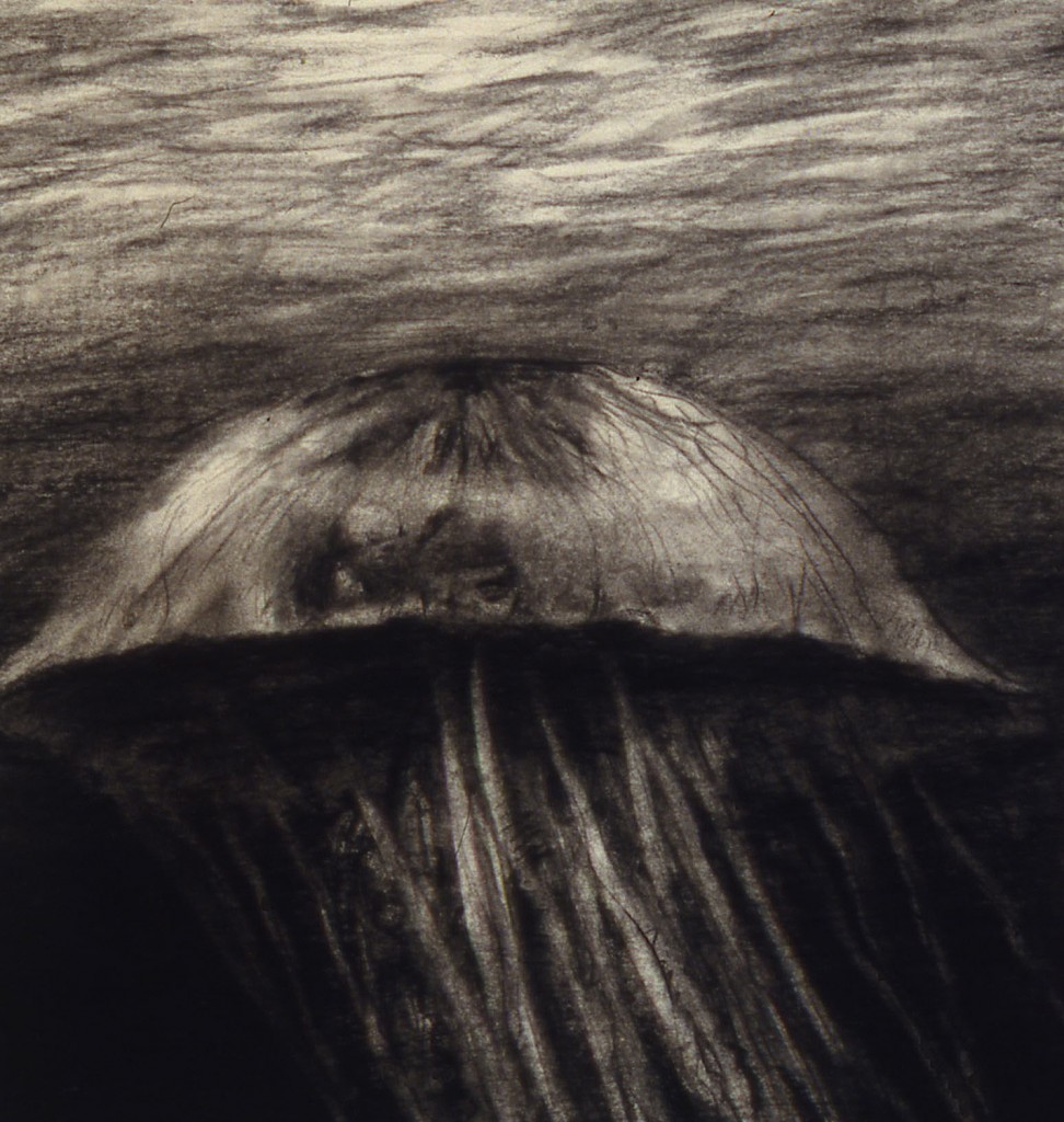 Jelly I, 1987. 28 x 20 cm [11 x 7.8in]. Charcoal on Paper.
